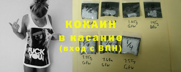 индика Алзамай