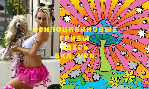 индика Алзамай