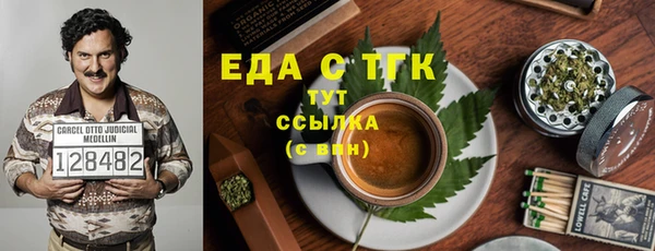 индика Алзамай