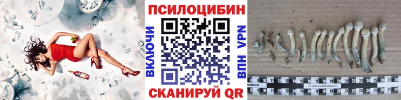 что такое наркотик  Заполярный  это наркотические препараты  Псилоцибиновые грибы мицелий 